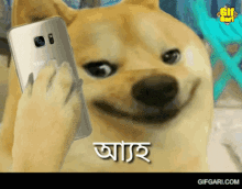 Gifgari Bangla Doge GIF - Gifgari Bangla Doge Ayh GIFs
