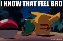 I Know That Feel Bro - Pokemon GIF - Metoo GIFs
