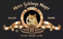 Doge No GIF - Doge No Zoom In GIFs