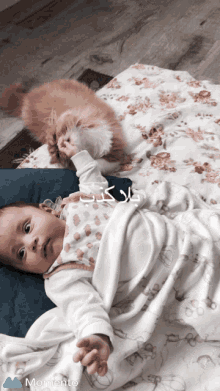 Baby Play GIF - Baby Play Cat GIFs