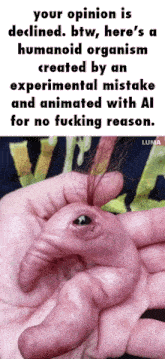 a person is holding a pink animal in their hand with the caption " your opinion is declined "