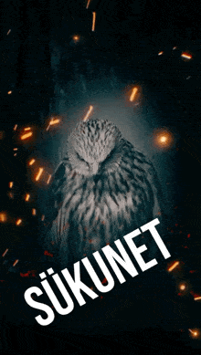 a picture of an owl with the word sukunet written below it