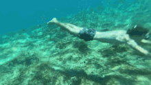 Protaras Diving GIF - Protaras Diving Snorkeling GIFs
