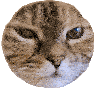a cat 's face is in a circle on a white background