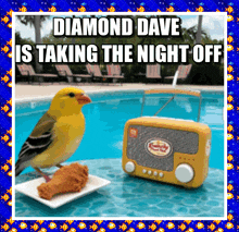 diamond dave is taking the night off with a bird