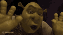Shrek Ogrebaby GIF - Shrek Ogrebaby Babyshrek GIFs