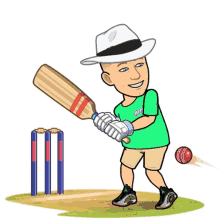 Adh Cricket GIF