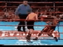 Boxing Knock Out GIF - Boxing Knock Out Dizzy GIFs