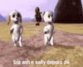 two cartoon dogs are dancing in a field with the words bia ash e sally depois