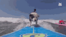 Dog Surfing Surfs Up GIF - Dog Surfing Surfs Up Cooling Off GIFs