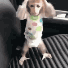 Mitskidiamandis Monkey GIF - Mitskidiamandis Monkey Disbelief GIFs