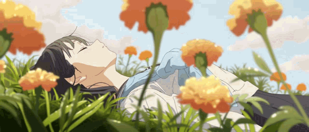 Pampas - Grass - Zerochan Anime Image Board