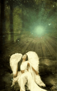 Forest Angel GIF - Forest Angel GIFs