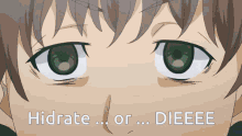 Hidrate Or Die Anime GIF - Hidrate Or Die Anime Boy GIFs