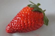 Strawberry Eating GIF