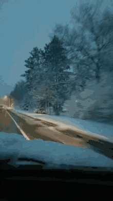 Winter Trees GIF - Winter Trees Driving GIFs