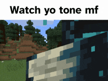 Minecraft Watch Yo Tone GIF