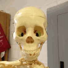 Skeleton Eyeroll GIF - Skeleton Eyeroll Pose GIFs