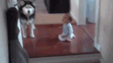 Dog Imitates Baby - Sooo Cute GIF - Dog Baby Cute GIFs
