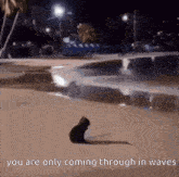 a picture of a cat on a beach with the words you are only coming through in waves