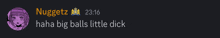 a screenshot of a chat with nuggetz and a girl says " haha big balls little dick "