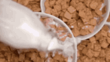 Cereal Milk GIF