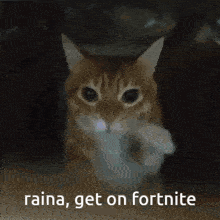 a close up of a cat with the words " raina get on fortnite " below it
