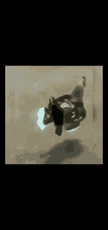 a close up of a person 's shadow with a light coming out of it .