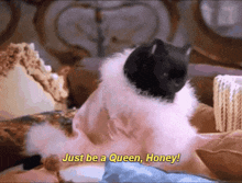 a black and white cat is laying on a bed with the words just be a queen honey below it