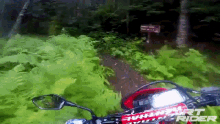 Riding Forest GIF