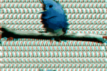 Screaming Bird Blue Twitter GIF - Screaming Bird Blue Twitter GIFs