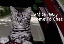 a cat is sitting in the driver 's seat of a car with the words " vm on way home to chat " below it