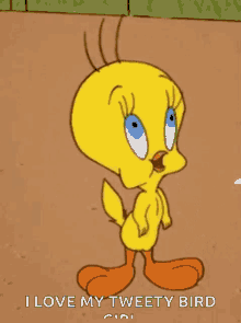 Looney Tunes GIF - Looney Tunes Tweety GIFs