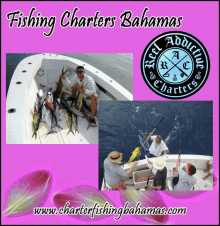 Fishing Charters Bahamas Spearfishing Charters Bahamas GIF - Fishing Charters Bahamas Spearfishing Charters Bahamas Deep Sea Fishing Bahamas GIFs