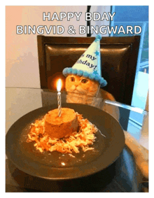 a cat wearing a party hat is looking at a birthday cake .