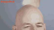 Bald Grooming GIF - Bald Grooming Brushing GIFs