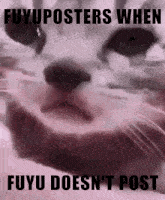 Fuyuposting Fuyuposters GIF