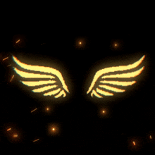 a pair of glowing wings on a dark background