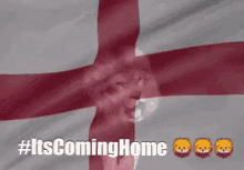 England Its Coming Home GIF
