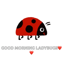 Bugs Ladybug GIF - Bugs Ladybug Walk GIFs