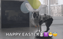 Dog Easter GIF - Dog Easter Bunny GIFs
