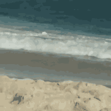 Praiaaa Beach GIF - Praiaaa Beach Ocean GIFs