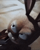 a close up of a cartoon rabbit 's face