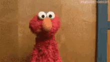 Elmo Encoge Los Hombros Porque Necesita Saber Por Qué GIF - Por Que Pregunta Duda GIFs