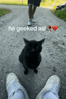 a picture of a black cat with a caption that says he geeked ast