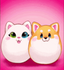 a white cat and a brown dog are sitting next to each other on a pink background