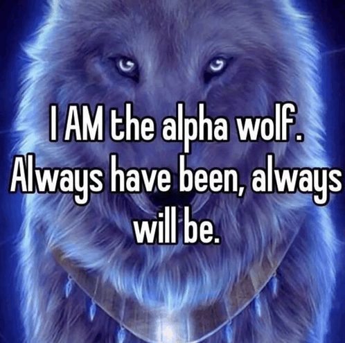 alpha female wolf quotes