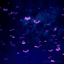 bats halloween purple