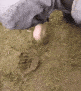 a person is standing on a muddy field with a footprint in the dirt .