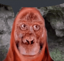 Monke Monkey GIF - Monke Monkey Discord GIFs